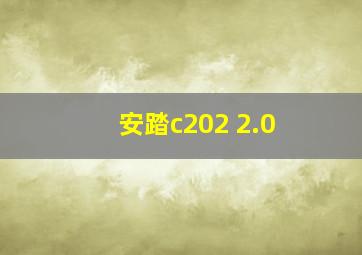 安踏c202 2.0